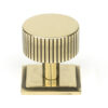 50382_main_S.jpg